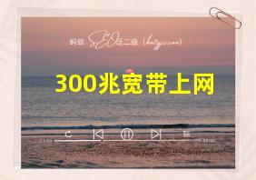 300兆宽带上网