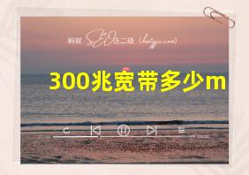 300兆宽带多少m