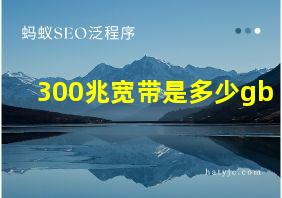 300兆宽带是多少gb