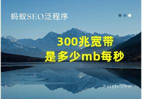 300兆宽带是多少mb每秒