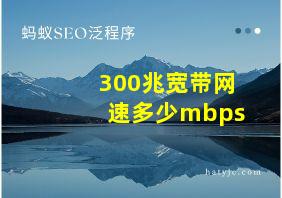 300兆宽带网速多少mbps