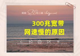 300兆宽带网速慢的原因