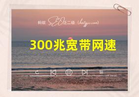 300兆宽带网速