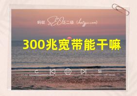 300兆宽带能干嘛