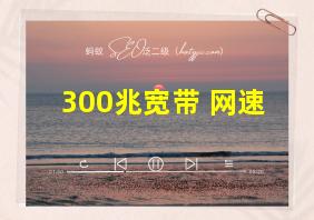 300兆宽带 网速