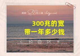 300兆的宽带一年多少钱