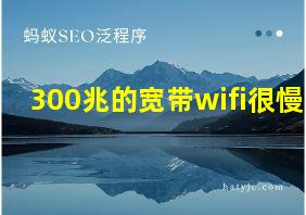 300兆的宽带wifi很慢