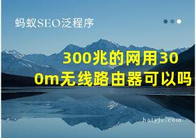 300兆的网用300m无线路由器可以吗