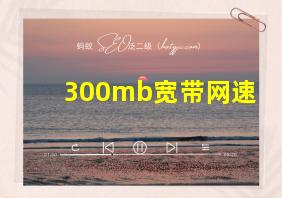 300mb宽带网速