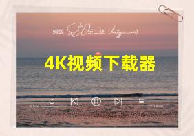 4K视频下载器