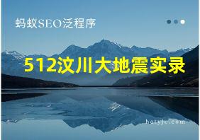 512汶川大地震实录