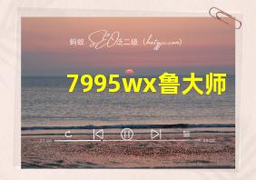 7995wx鲁大师