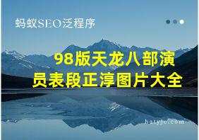 98版天龙八部演员表段正淳图片大全