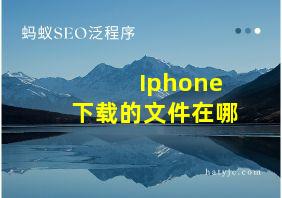 Iphone下载的文件在哪