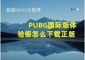 PUBG国际版体验服怎么下载正版