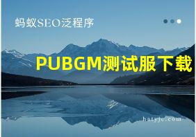 PUBGM测试服下载