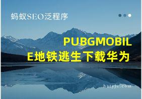 PUBGMOBILE地铁逃生下载华为