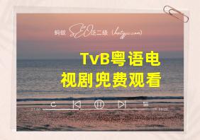 TvB粤语电视剧兜费观看