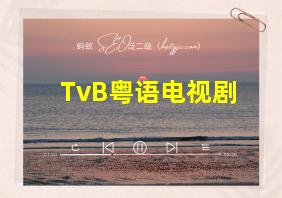 TvB粤语电视剧