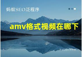 amv格式视频在哪下