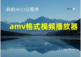 amv格式视频播放器