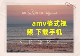 amv格式视频 下载手机