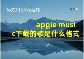 apple music下载的歌是什么格式