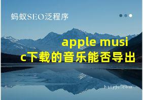 apple music下载的音乐能否导出