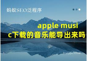 apple music下载的音乐能导出来吗