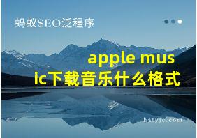 apple music下载音乐什么格式