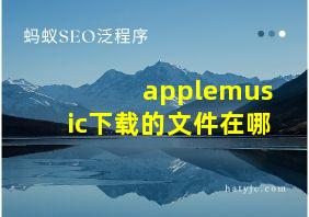 applemusic下载的文件在哪