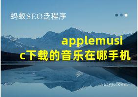 applemusic下载的音乐在哪手机