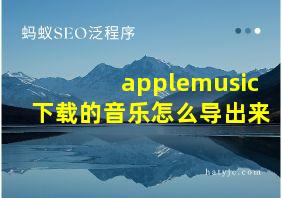 applemusic下载的音乐怎么导出来