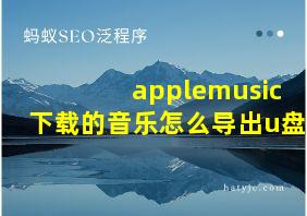 applemusic下载的音乐怎么导出u盘