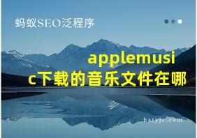 applemusic下载的音乐文件在哪