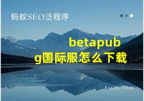 betapubg国际服怎么下载