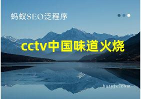 cctv中国味道火烧