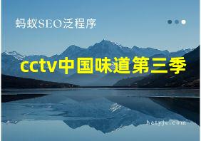 cctv中国味道第三季