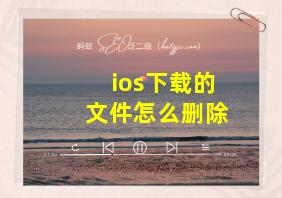 ios下载的文件怎么删除