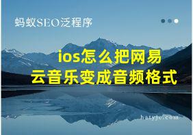 ios怎么把网易云音乐变成音频格式