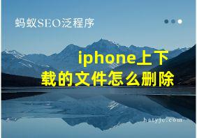 iphone上下载的文件怎么删除