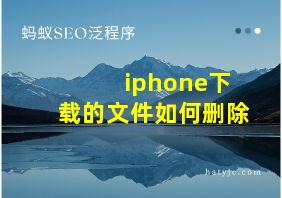 iphone下载的文件如何删除