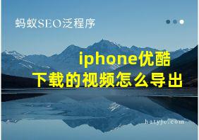 iphone优酷下载的视频怎么导出