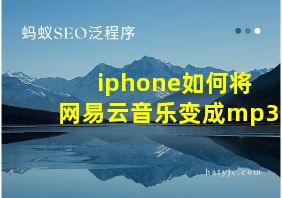 iphone如何将网易云音乐变成mp3