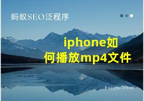 iphone如何播放mp4文件