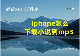 iphone怎么下载小说到mp3