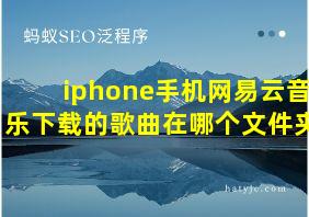 iphone手机网易云音乐下载的歌曲在哪个文件夹