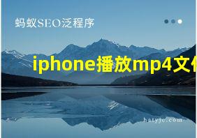 iphone播放mp4文件