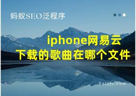 iphone网易云下载的歌曲在哪个文件