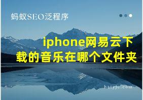 iphone网易云下载的音乐在哪个文件夹